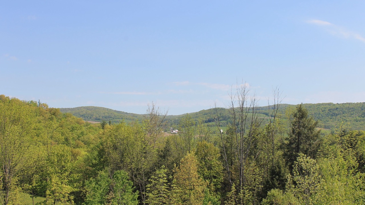 Photo of Others in Towanda
