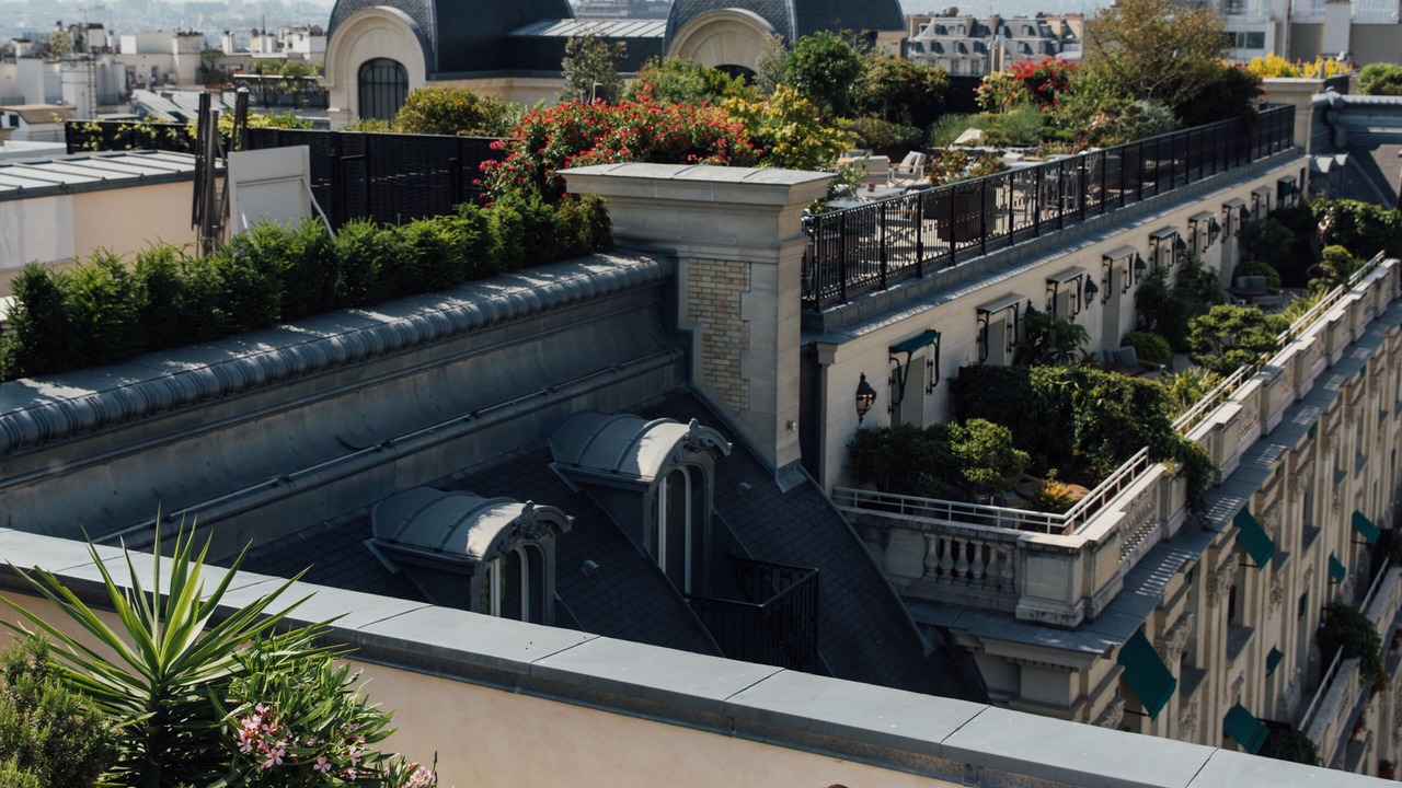 Photo of Others in Chaillot