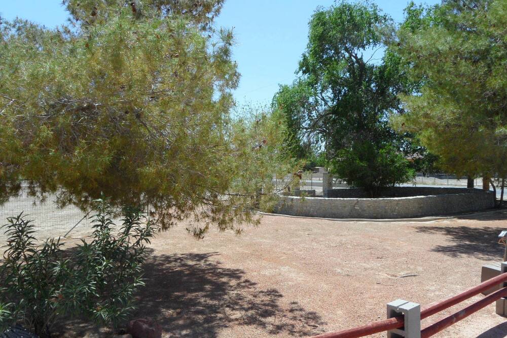 Photo of Outdoor in Pahrump