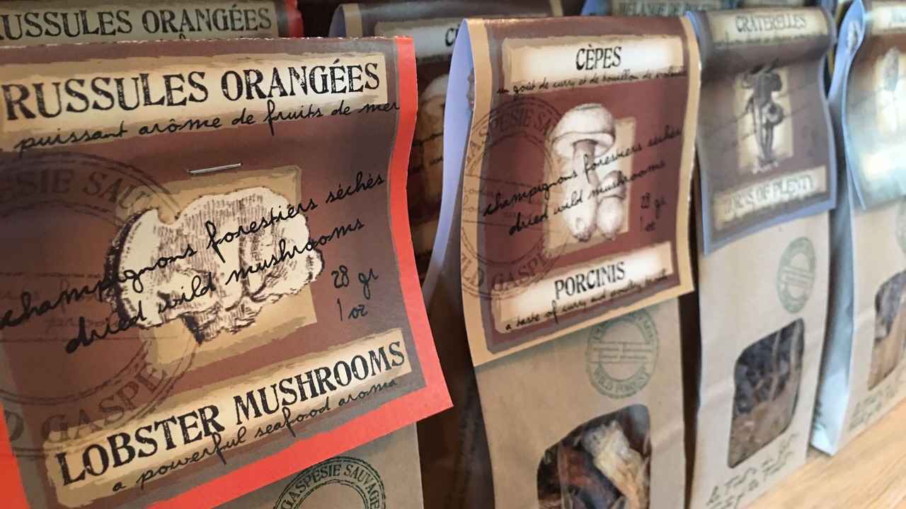 Photo of Others in Maria