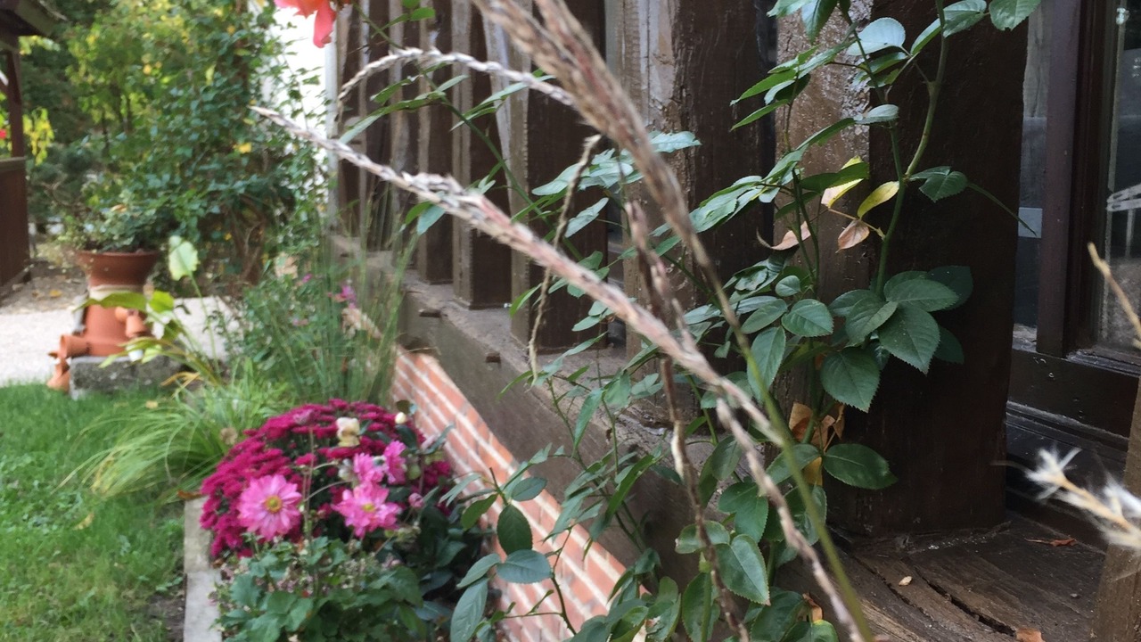 Photo of Outdoor in Bracieux