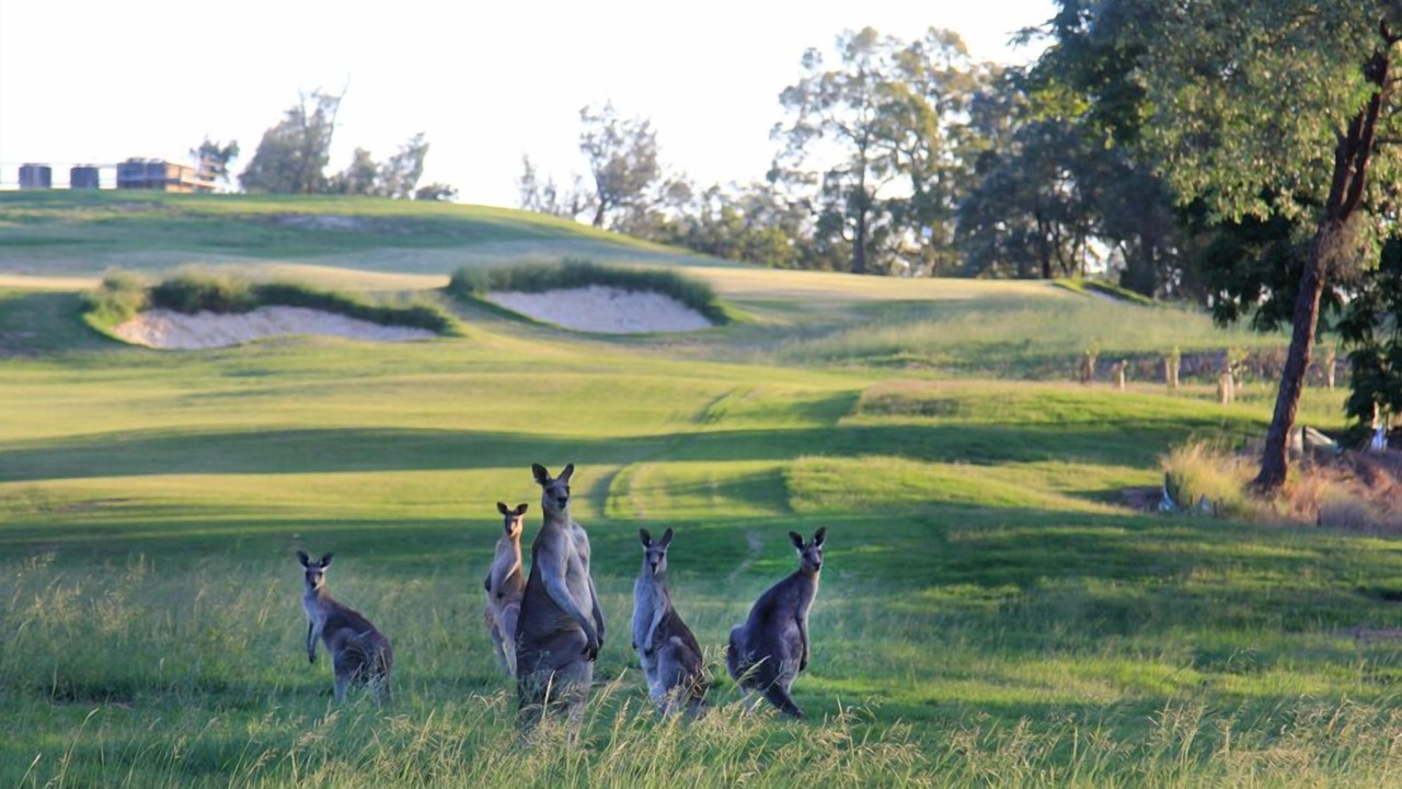 Photo of Others in Cattai