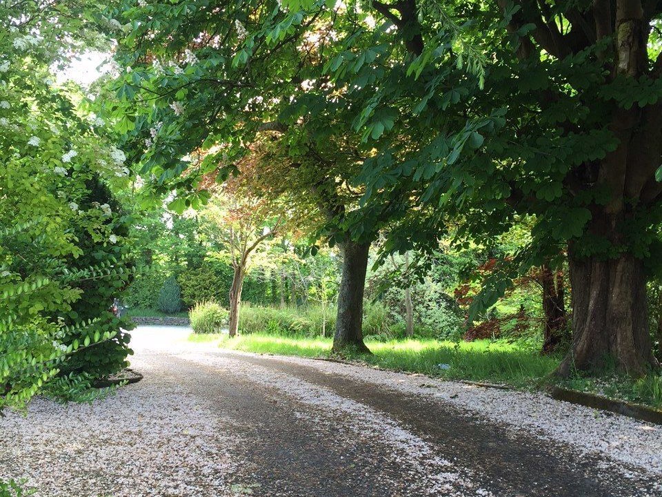 Photo of Outdoor in Llanelli