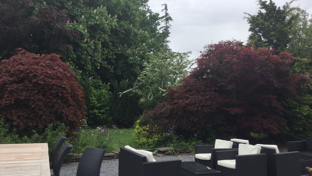 Photo of Others in Llanelli