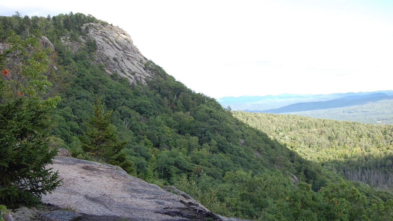 Photo of Others in North Creek