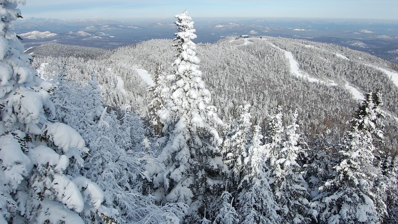 Photo of Others in North Creek