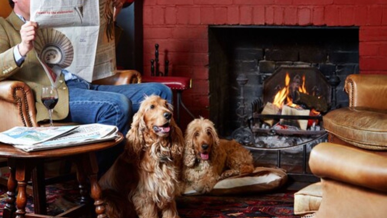 Photo of Livingroom in Midhurst