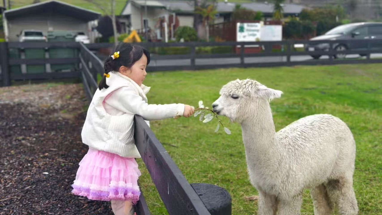 Photo of Bedroom in Ngongotaha