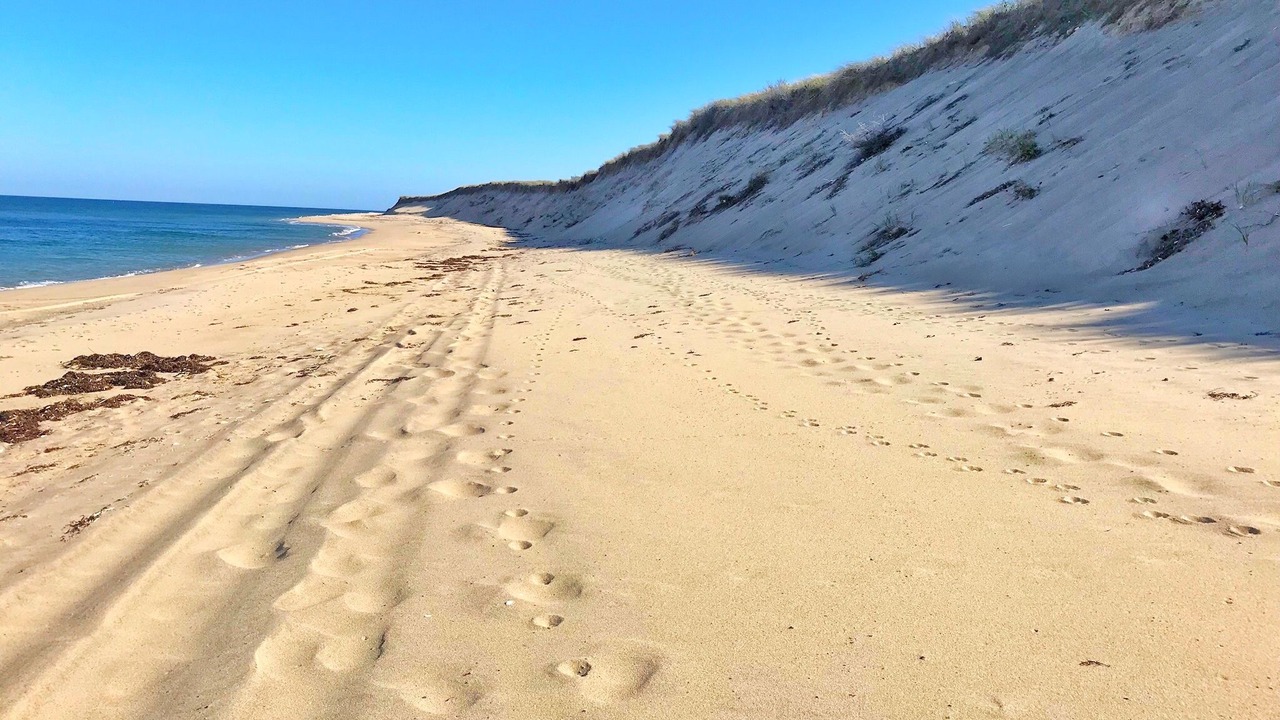 Photo of Others in Provincetown