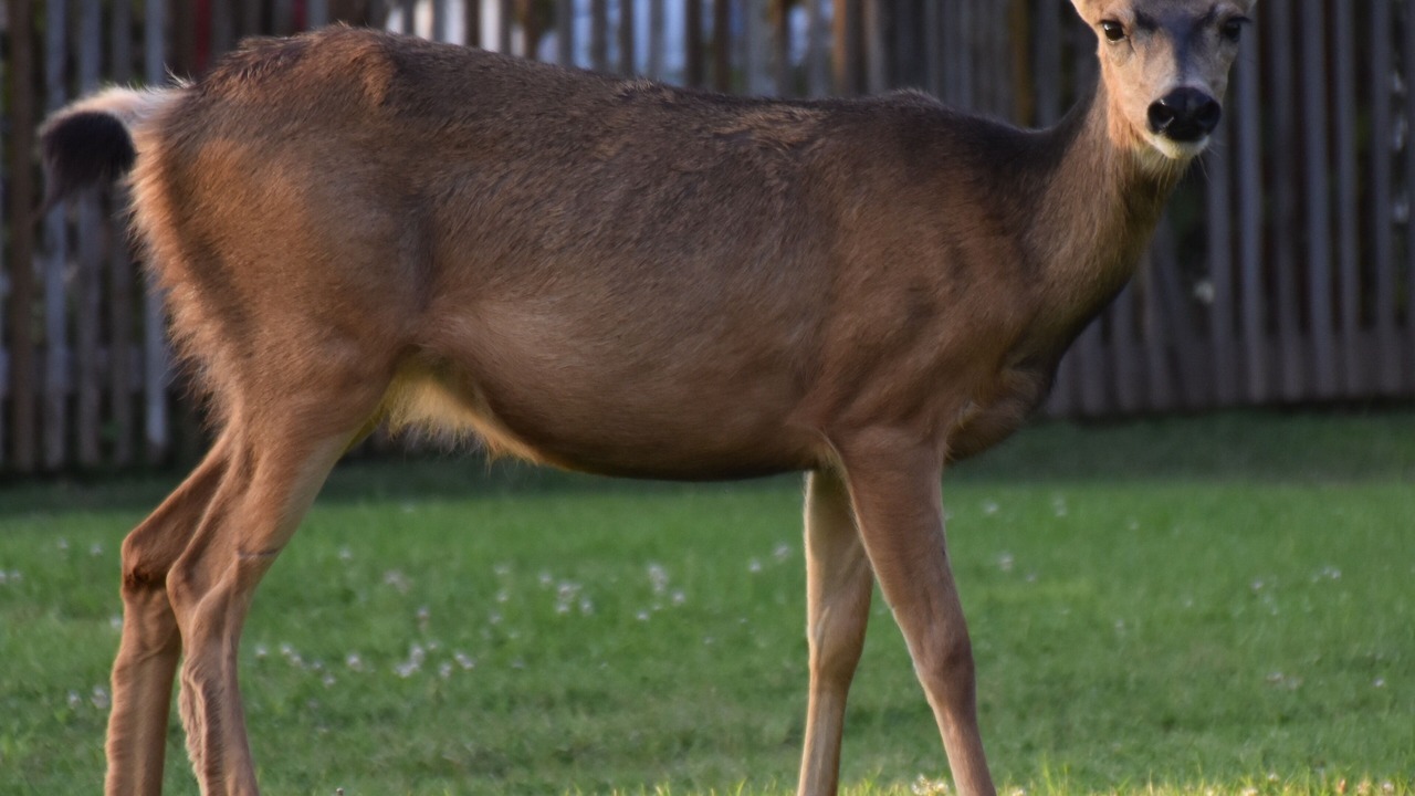 Photo of Outdoor in Winthrop