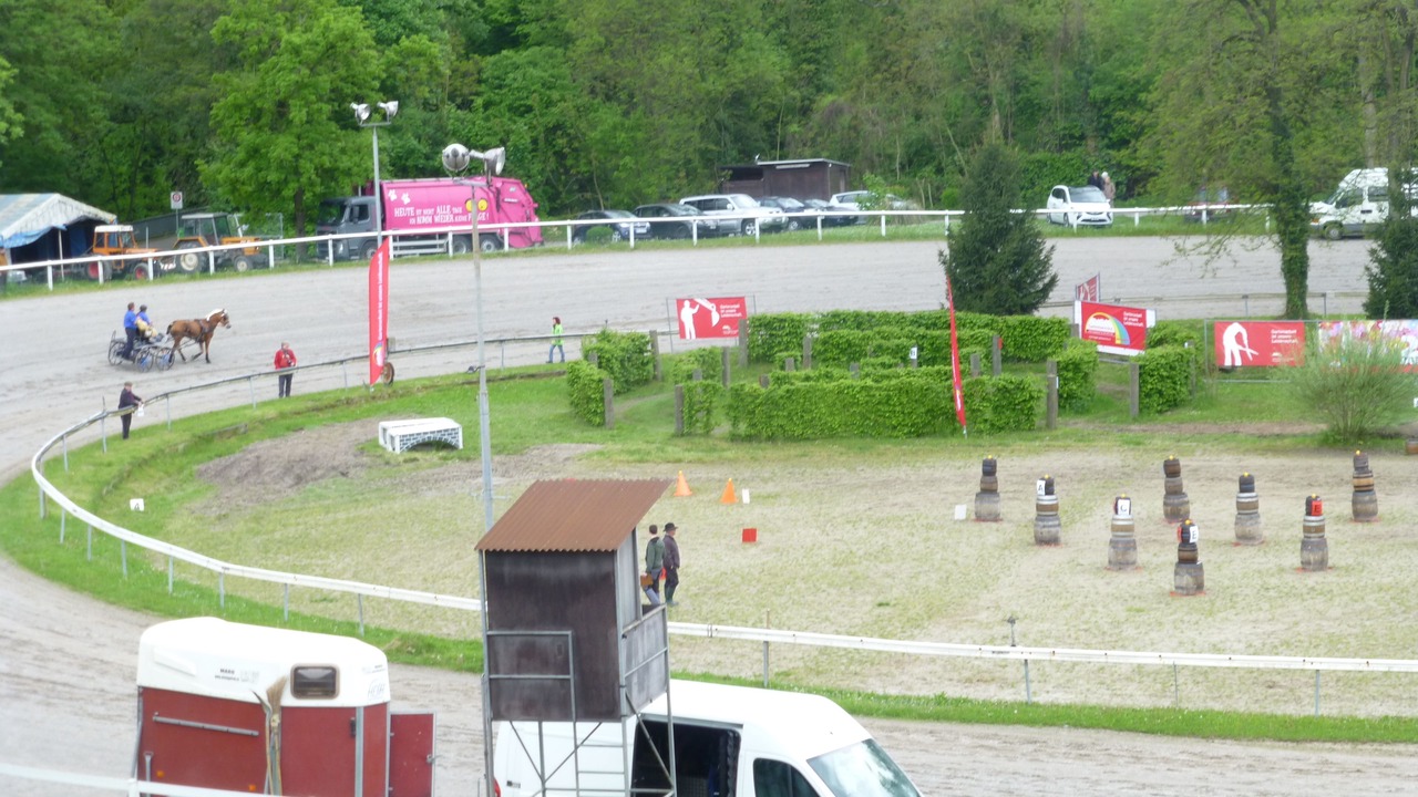 Photo of Others in Muttenz