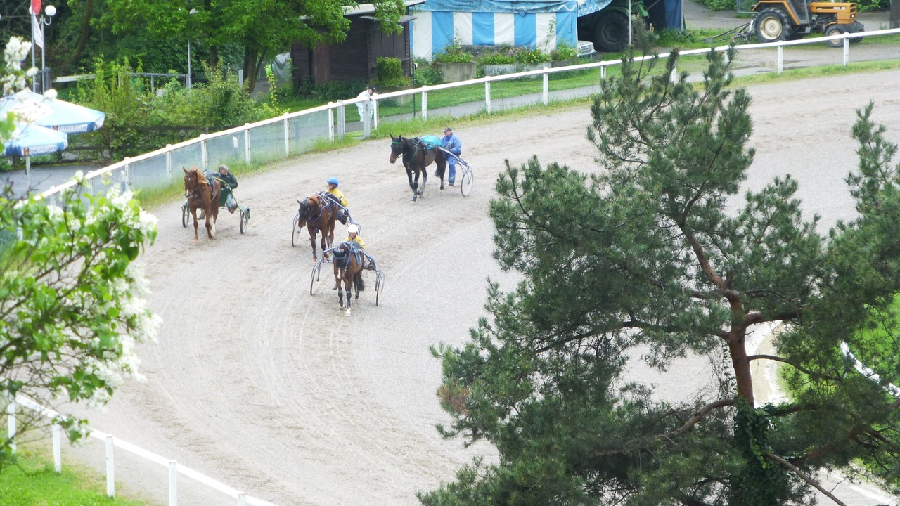 Photo of Others in Muttenz