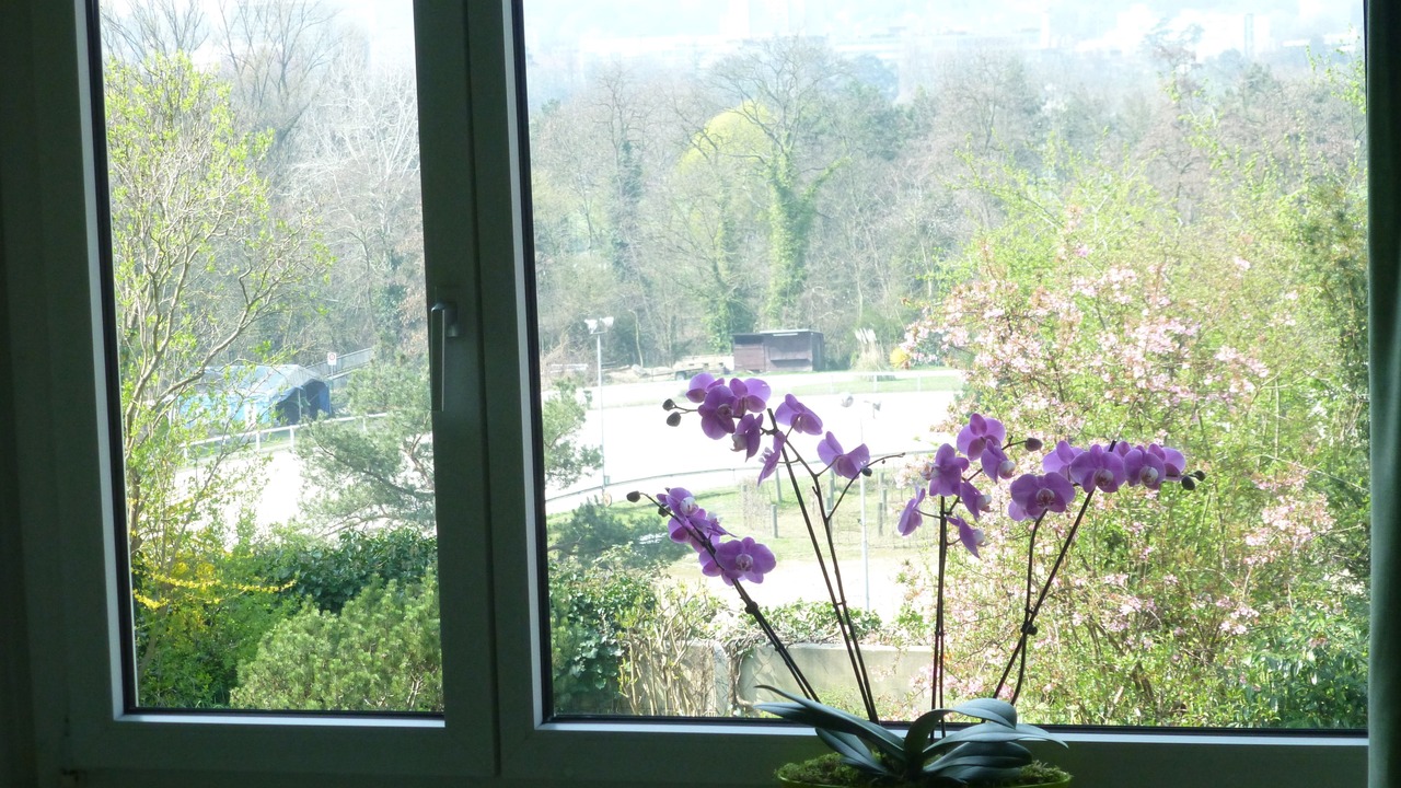 Photo of Bedroom in Muttenz