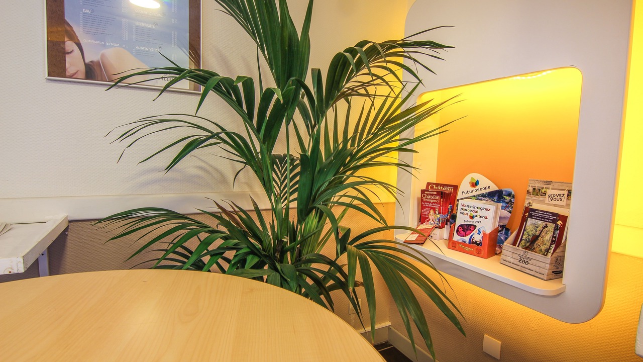 Photo of Others in Chateaudun