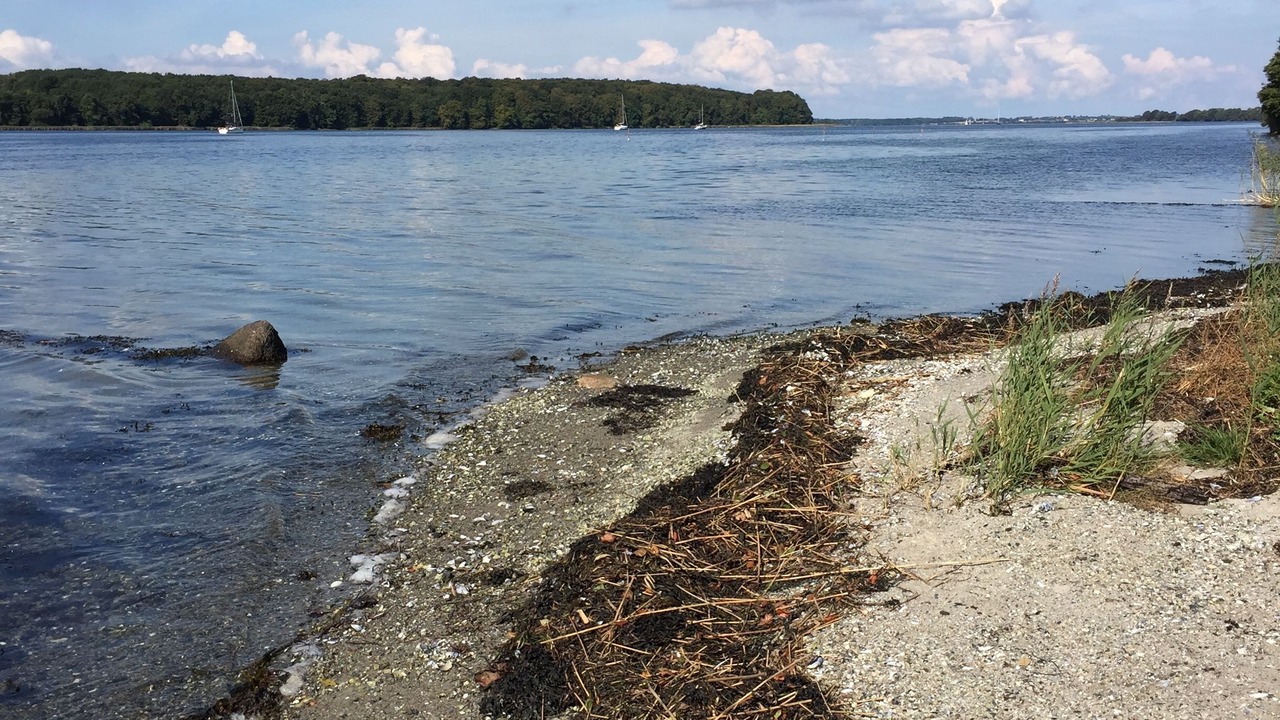 Photo of Others in Sønderborg