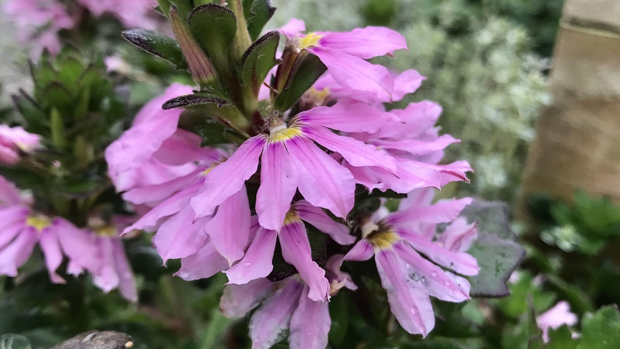 Photo of Patio Balcony in Sønderborg