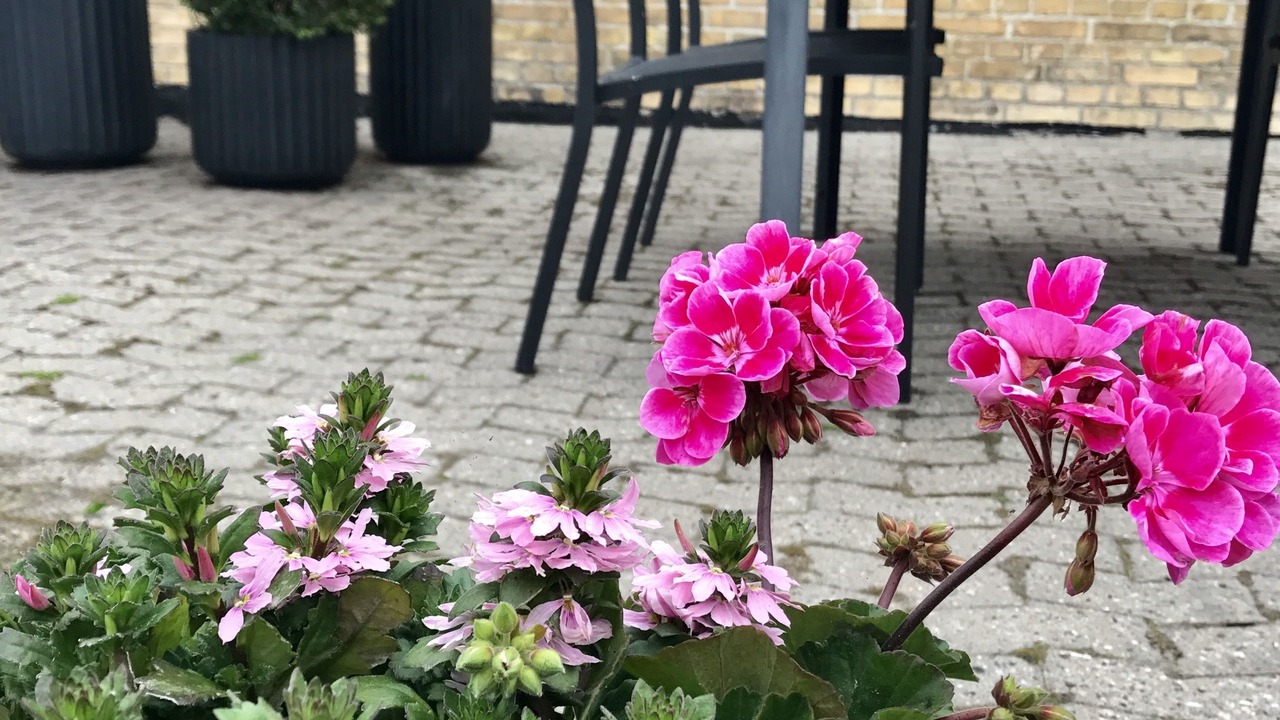 Photo of Patio Balcony in Sønderborg