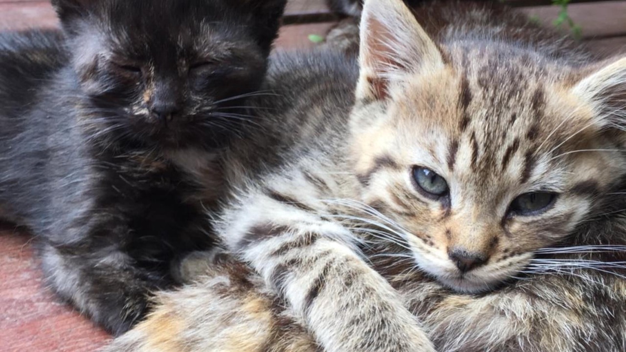 Photo of Outdoor in Perouges