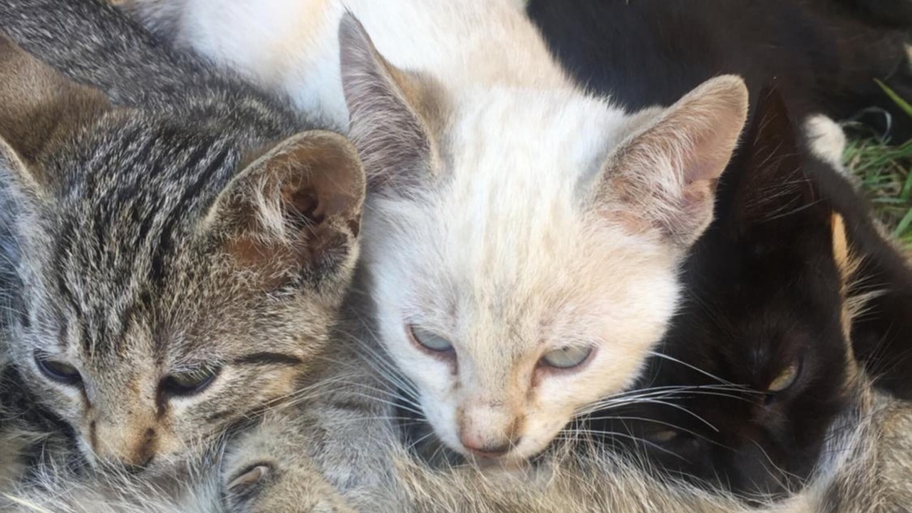 Photo of Outdoor in Perouges