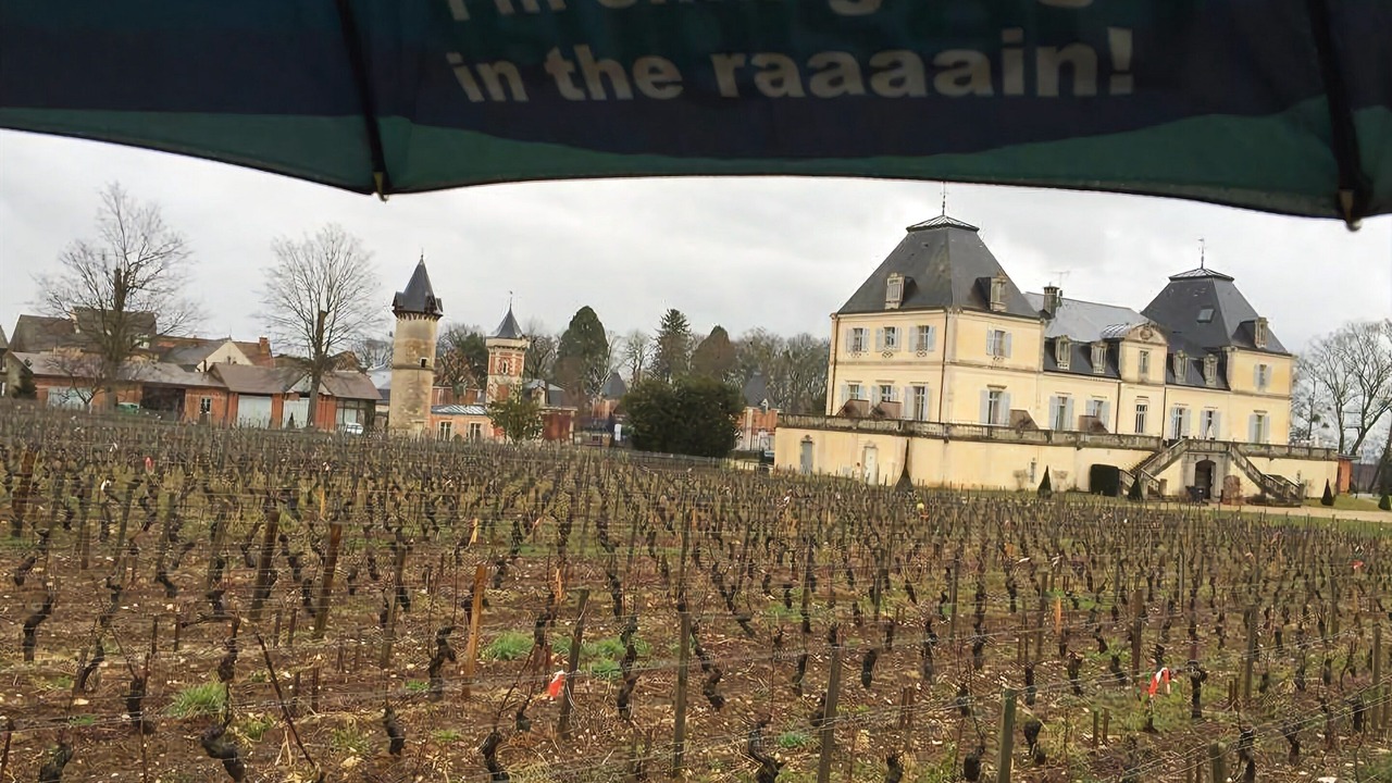 Photo of Outdoor in Meursault