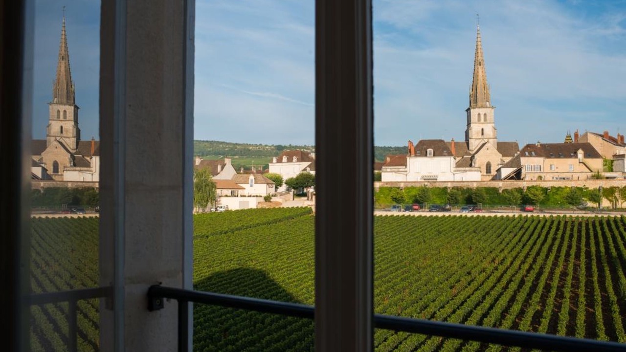 Photo of Others in Meursault