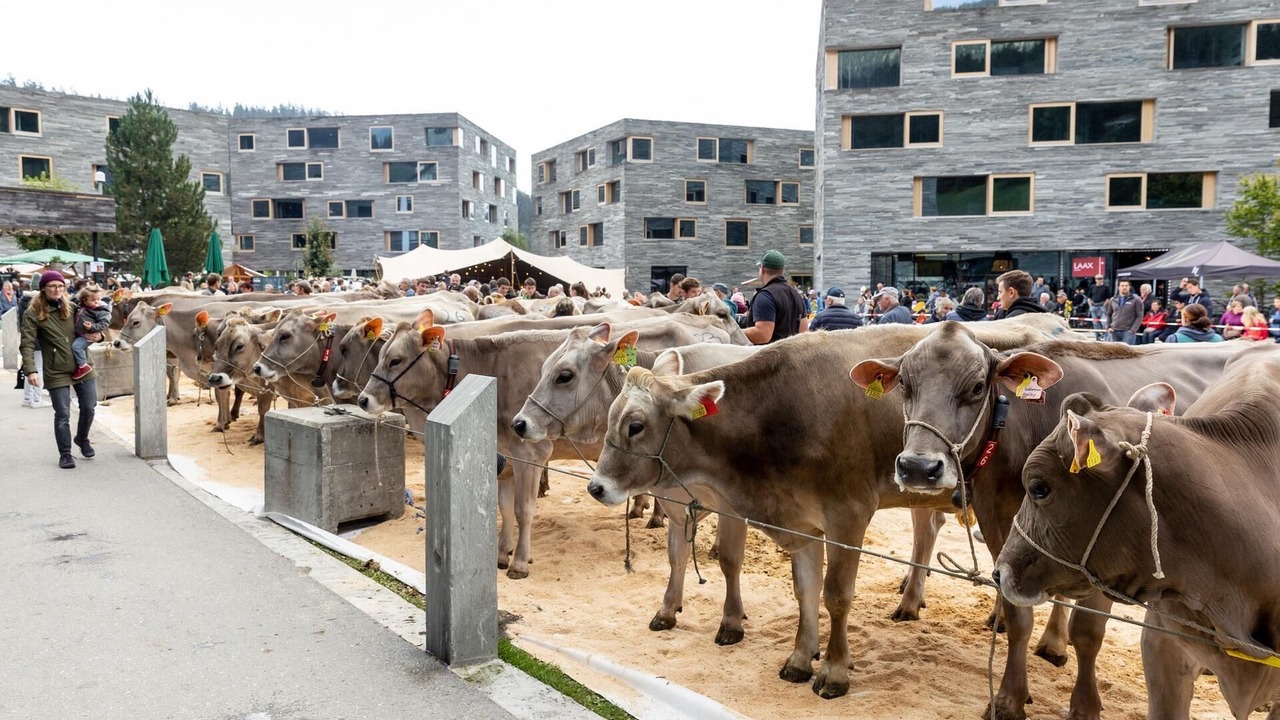 Photo of Outdoor in Laax