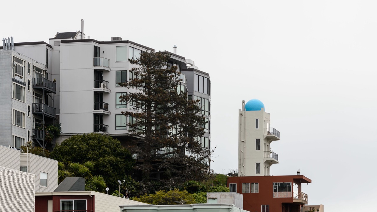 Photo of Others in Telegraph Hill