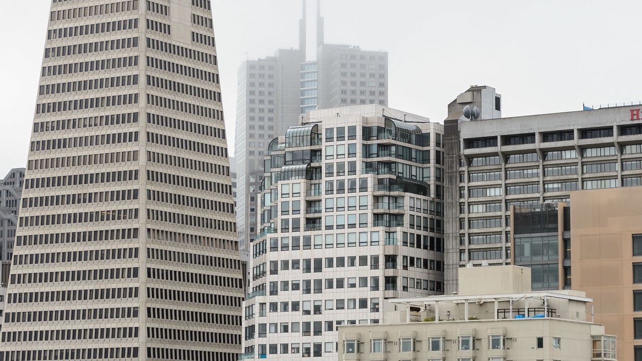 Photo of Others in Telegraph Hill
