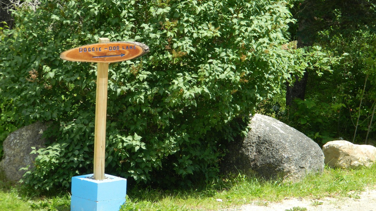 Photo of Outdoor in Salsbury Cove