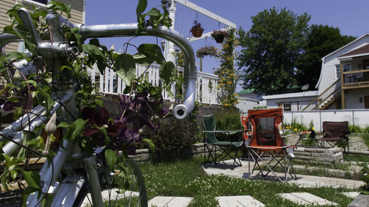 Photo of Outdoor in Charny