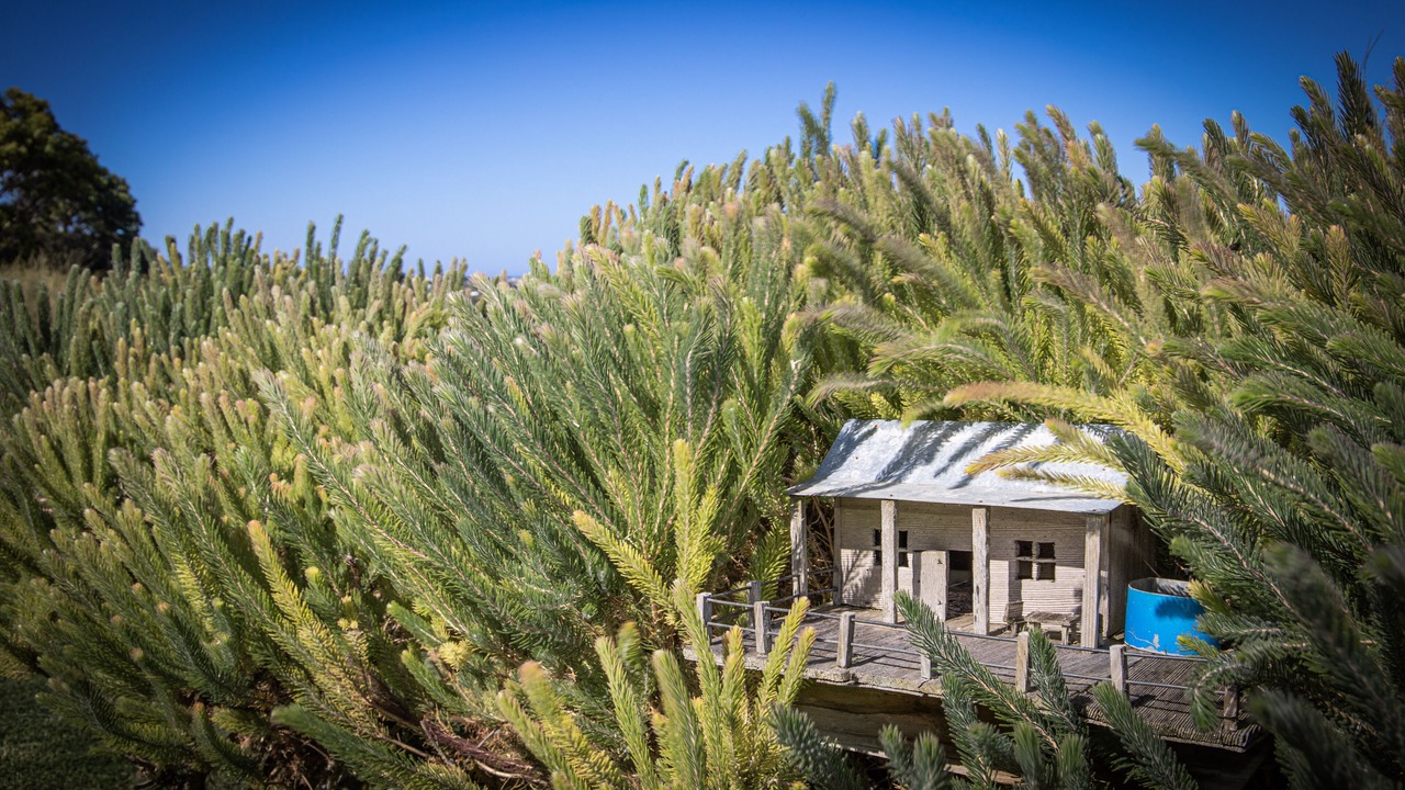 Photo of Others in Port Campbell