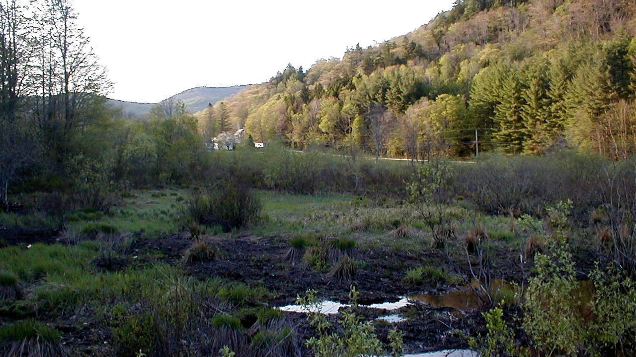 Photo of Others in Killington