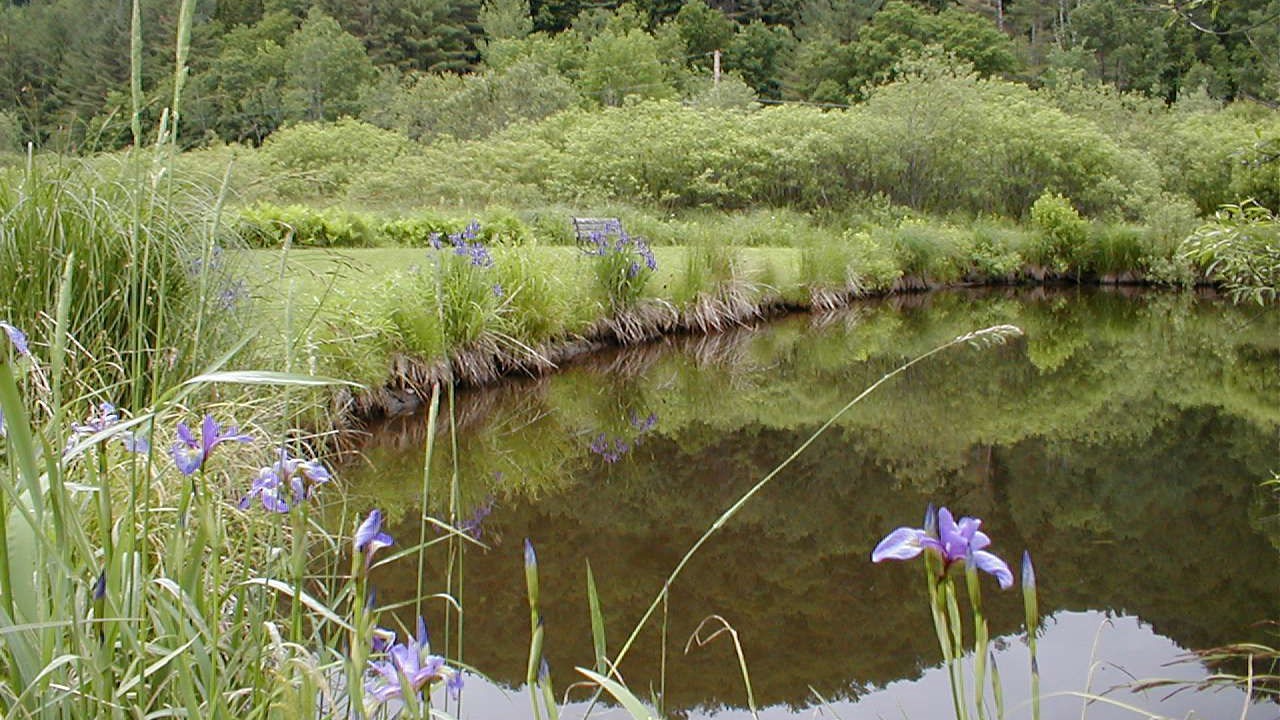 Photo of Outdoor in Killington