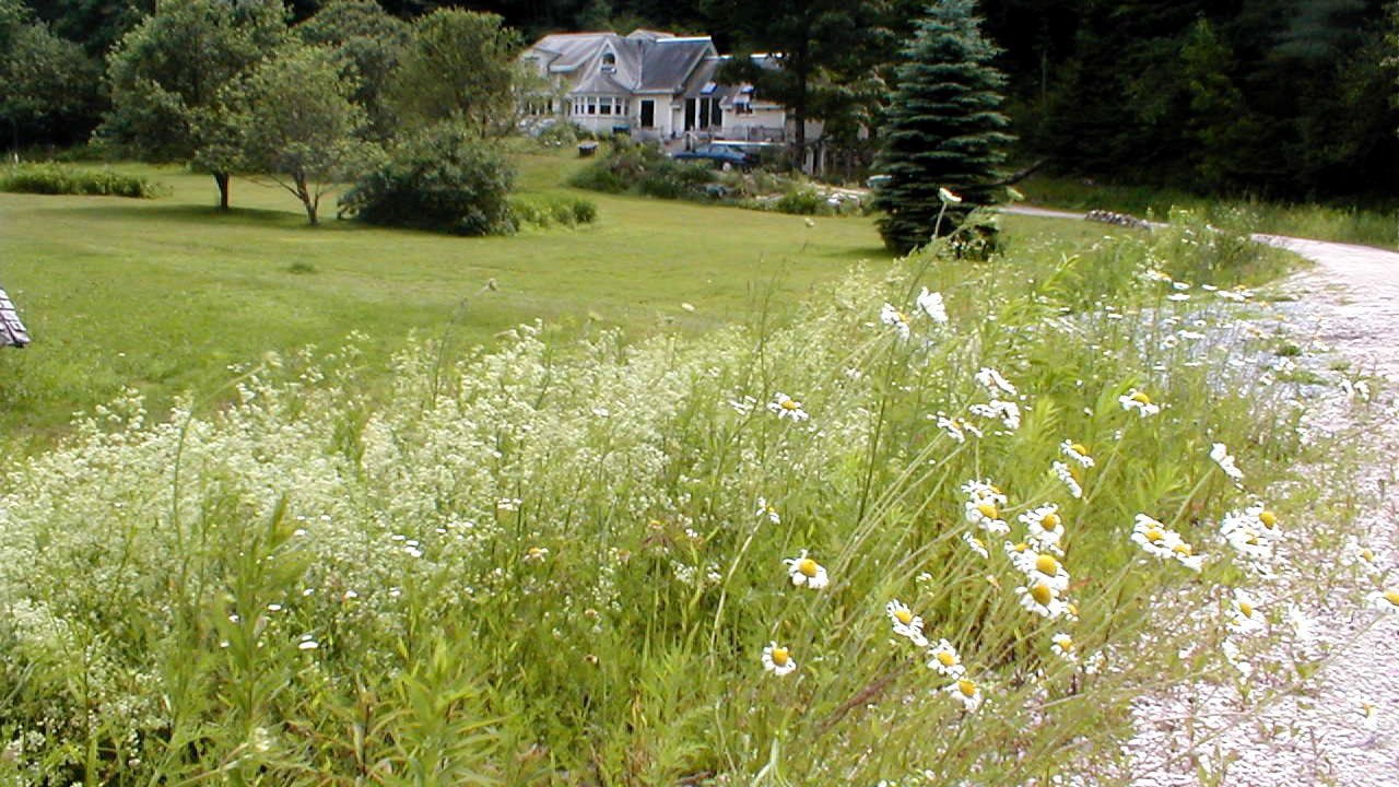 Photo of Outdoor in Killington