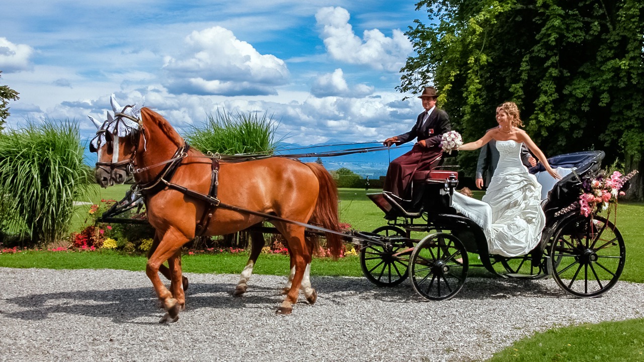 Photo of Outdoor in Bogis-Bossey
