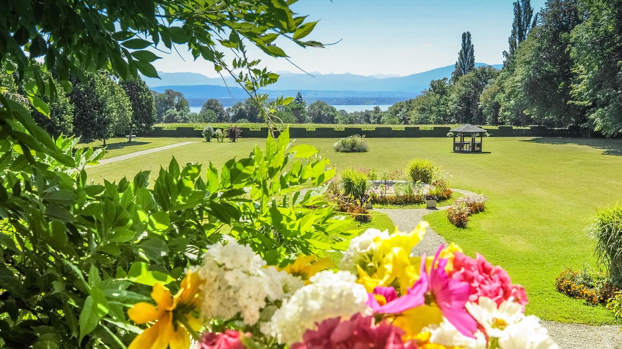 Photo of Outdoor in Bogis-Bossey