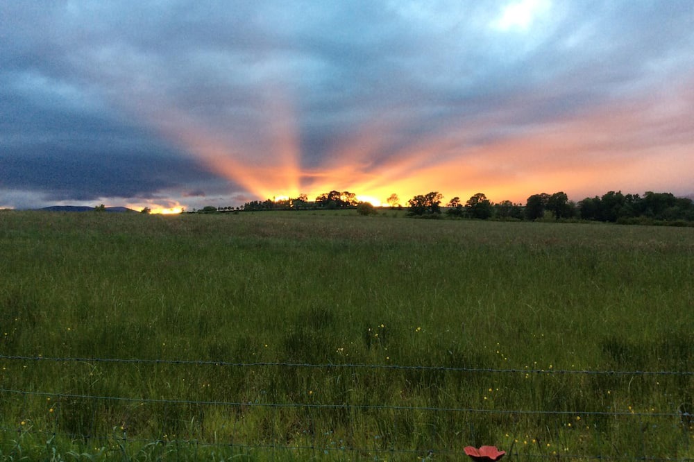 Photo of Others in Gartocharn