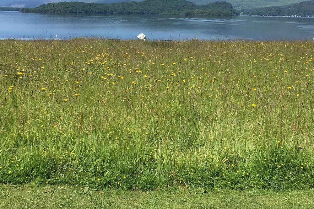 Photo of Others in Gartocharn