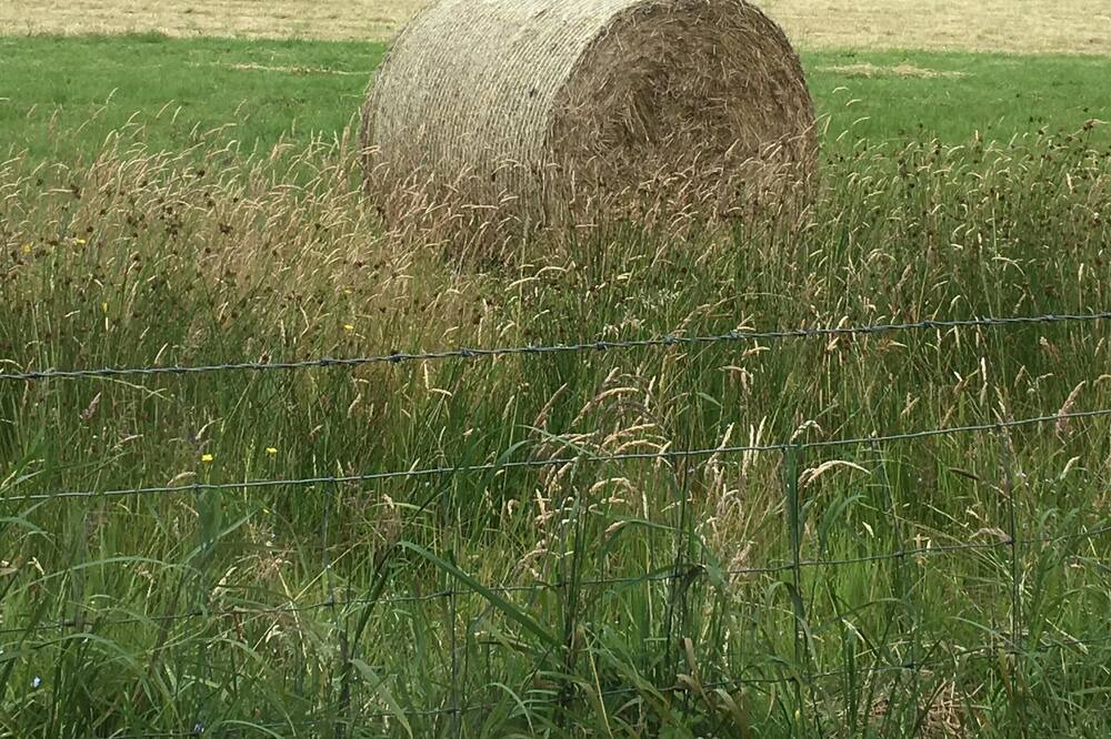 Photo of Others in Gartocharn