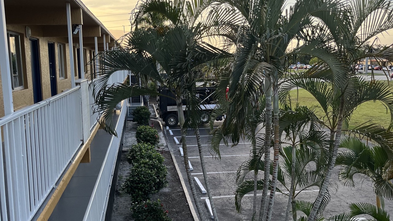 Photo of Outdoor in Punta Gorda