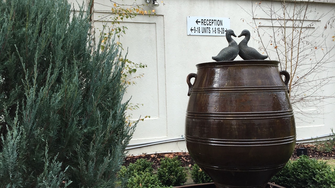 Photo of Others in Hawthorn East