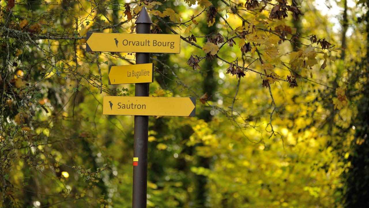 Photo of Outdoor in Orvault