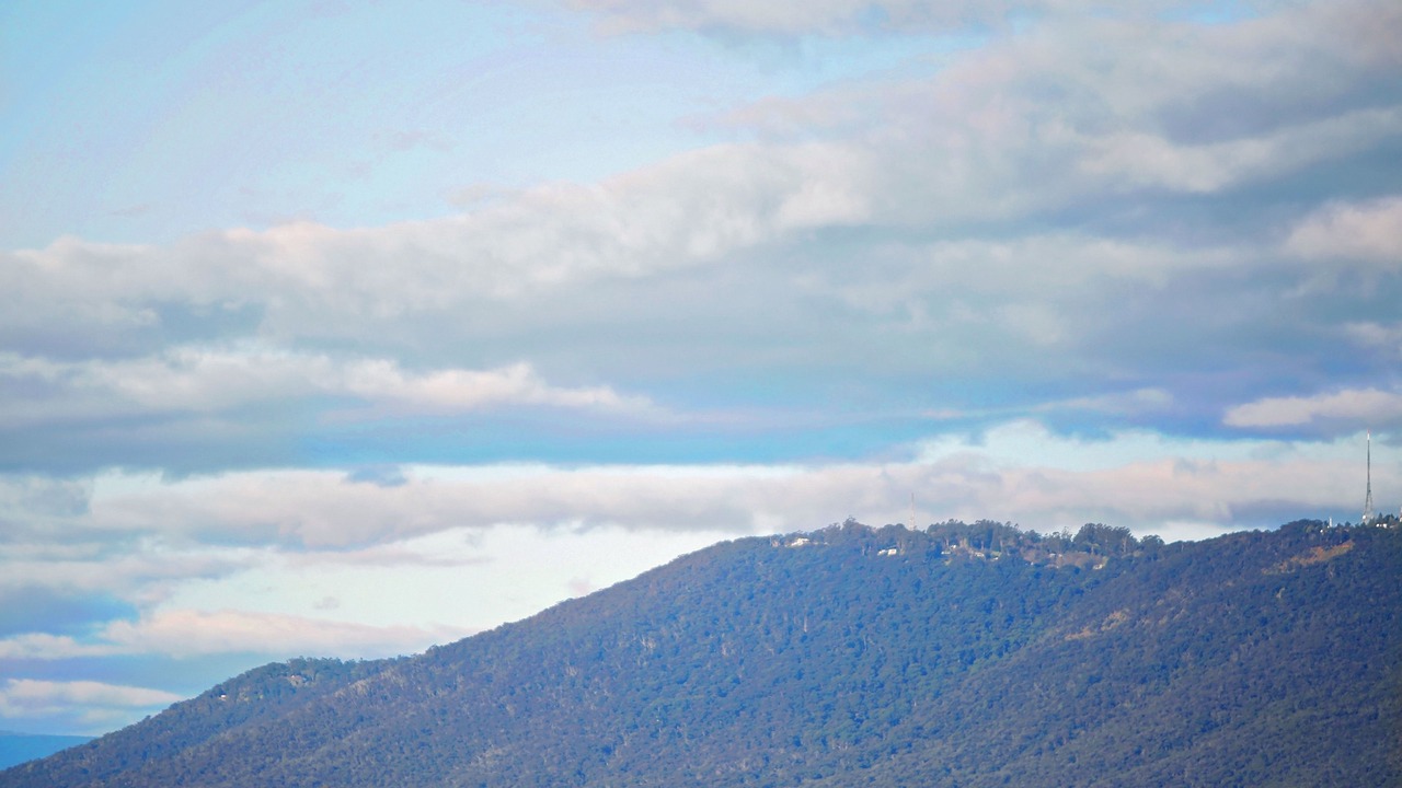 Photo of Others in Wantirna