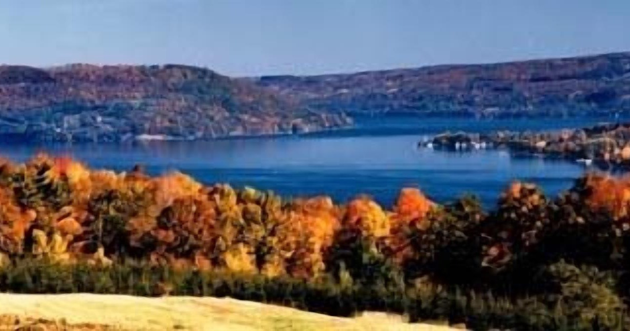 Photo of Others in Hammondsport