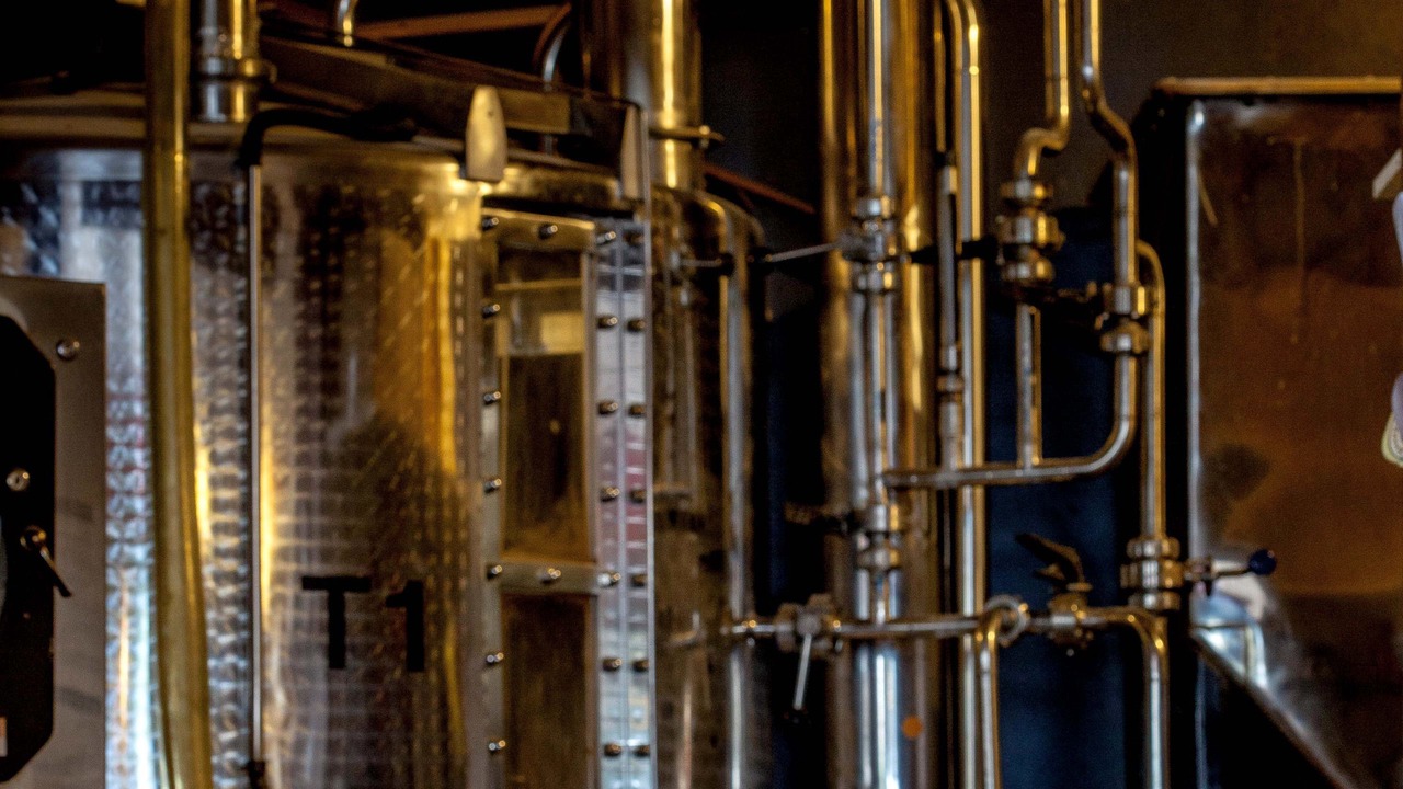 Photo of Others in Auckland Central Business District