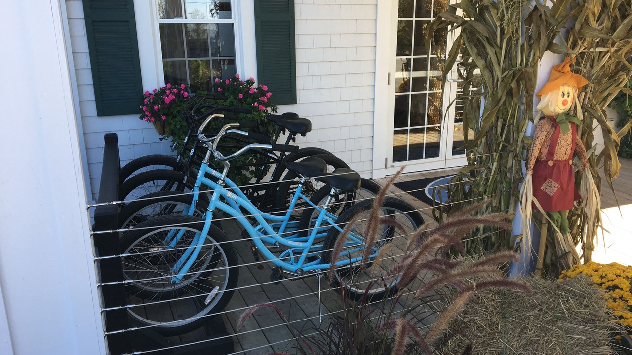 Photo of Others in Newagen