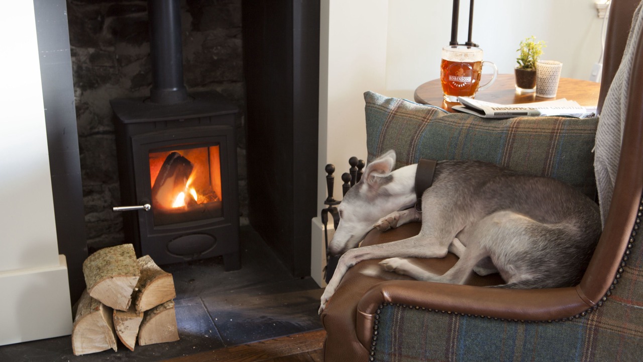 Photo of Others in Dolgellau