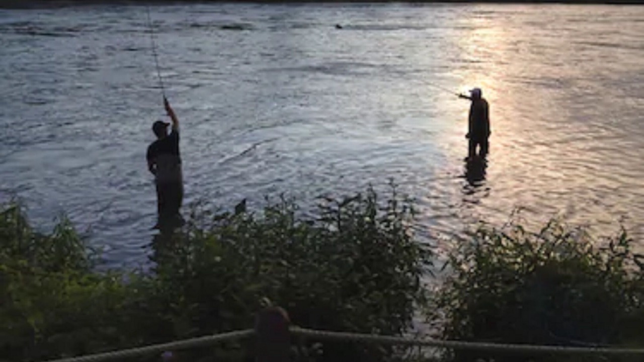 Photo of Others in Soldotna