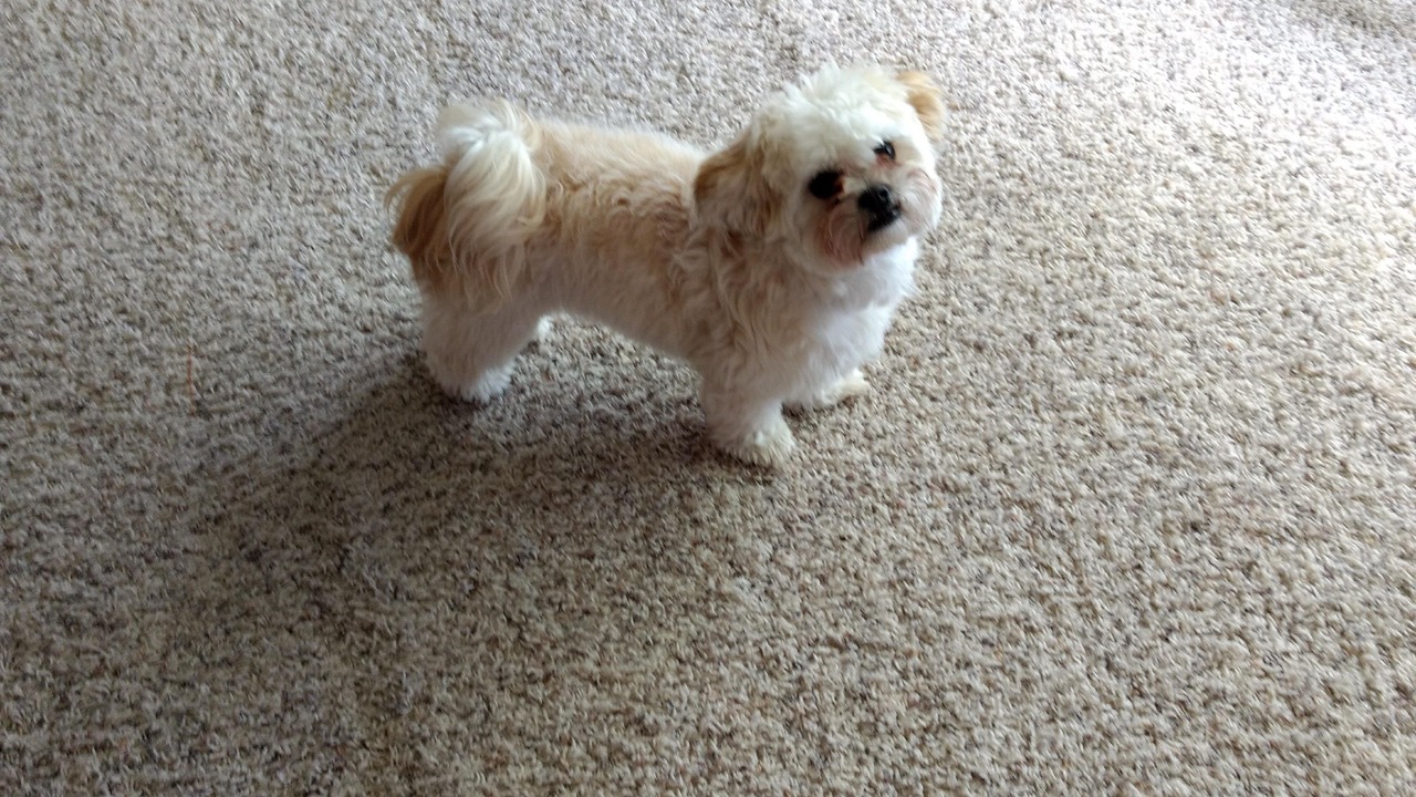 Photo of Others in Rice Lake