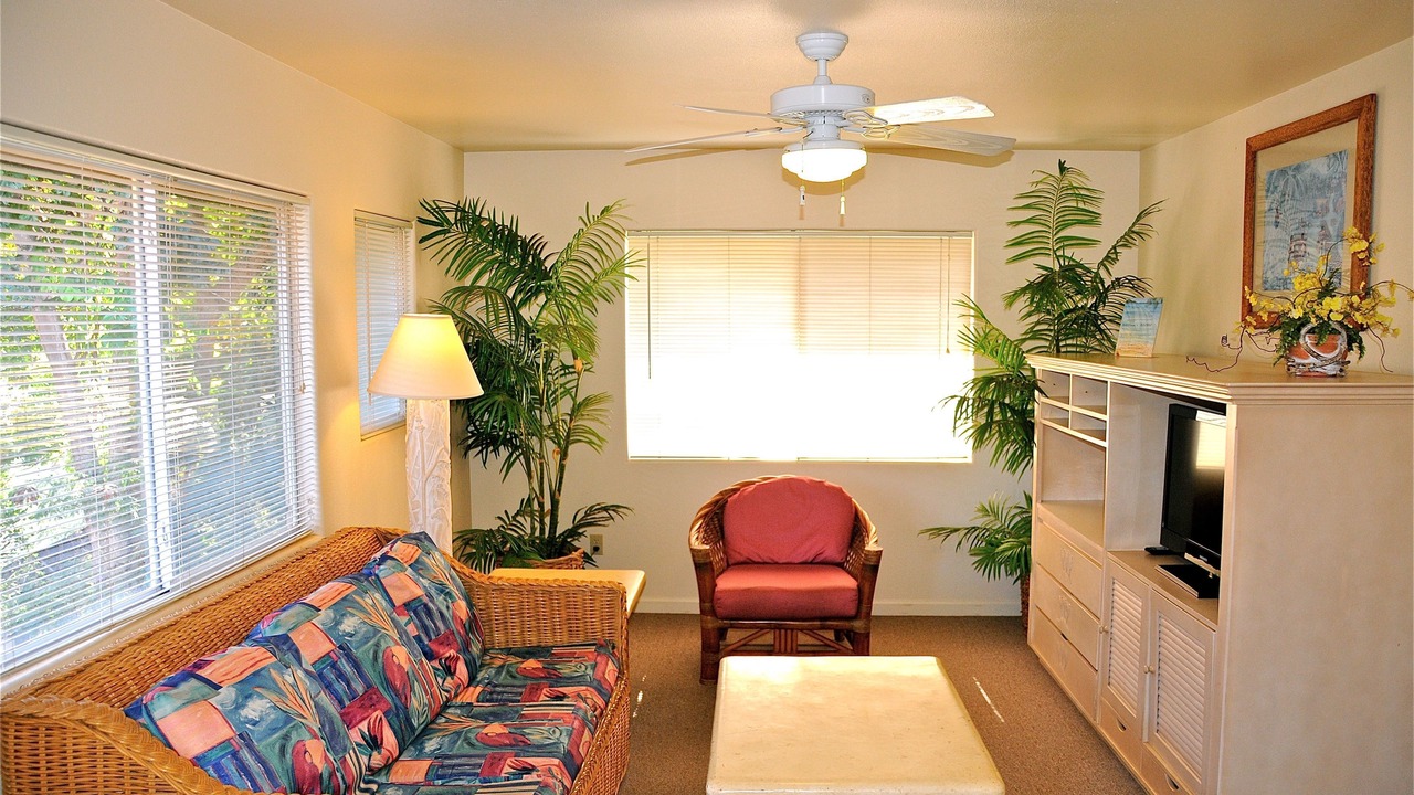 Photo of Others in Waimea